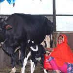 Jharna's farm: A unique example of cleaner production