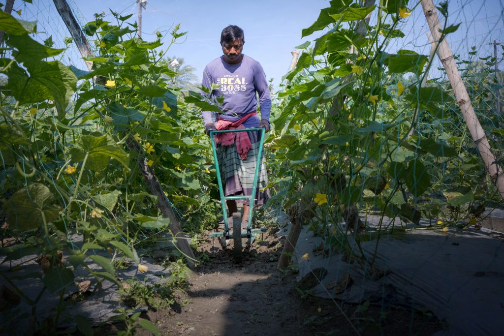 Manual Weeding does the work of 4 in just an hour