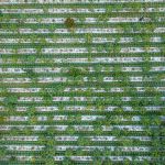 Agroecological farming: Cultivating food in harmony with nature