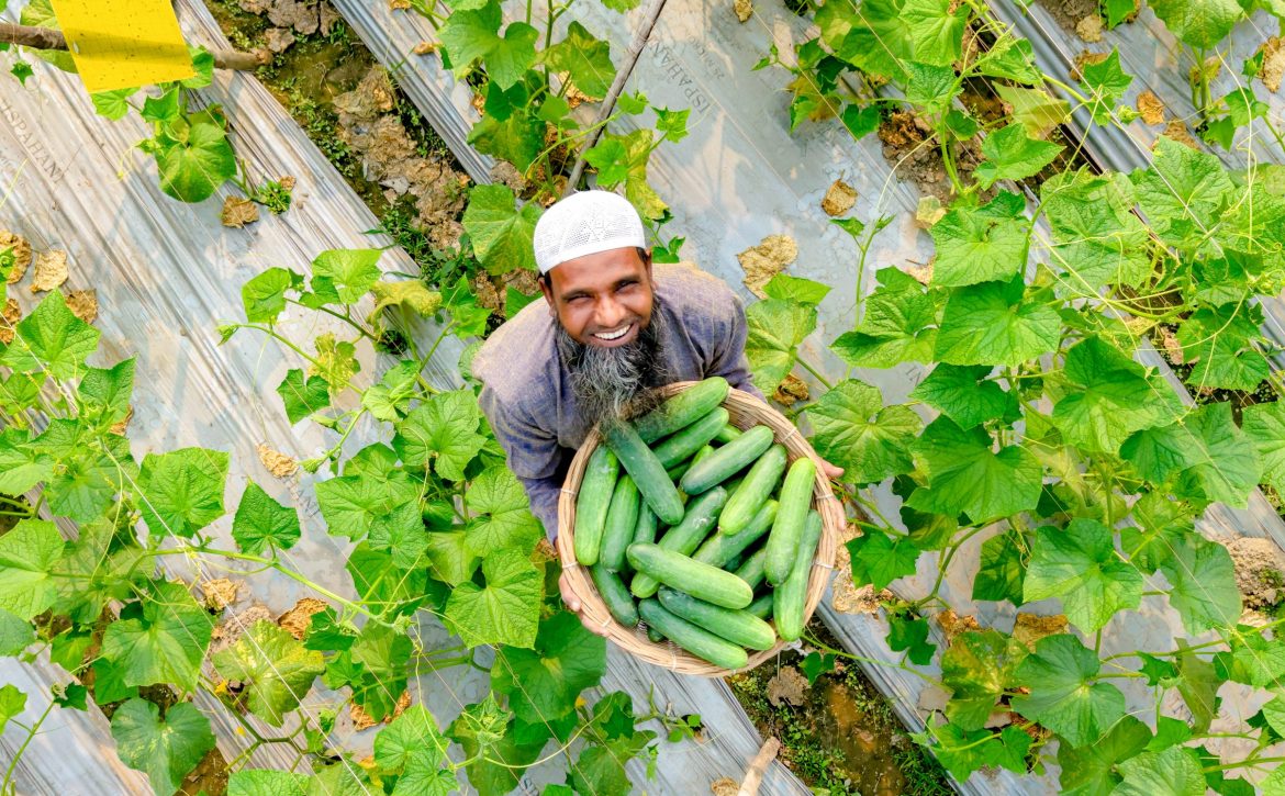 PKSF SMART project vegetable cultivation with RECP practices