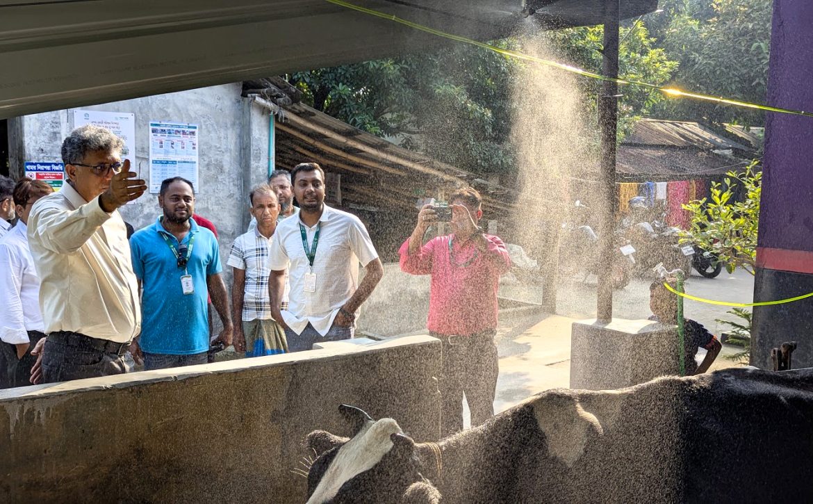 World Bank and PKSF representatives visit a SMART-supported dairy farm in Dumuria, Khulna, to observe climate-resilient technologies and resource-efficient farming practices.