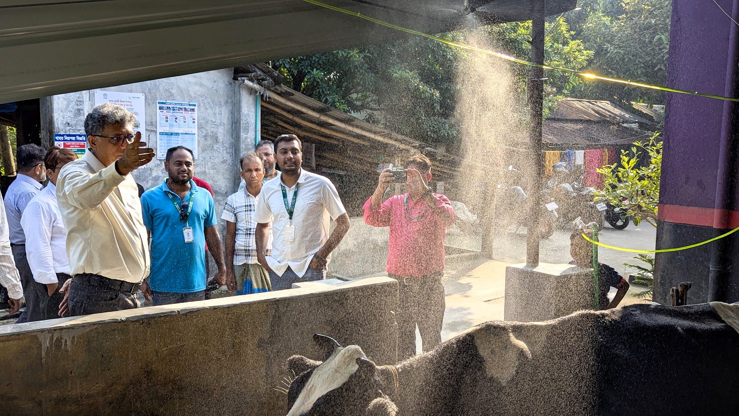 World Bank and PKSF representatives visit a SMART-supported dairy farm in Dumuria, Khulna, to observe climate-resilient technologies and resource-efficient farming practices.
