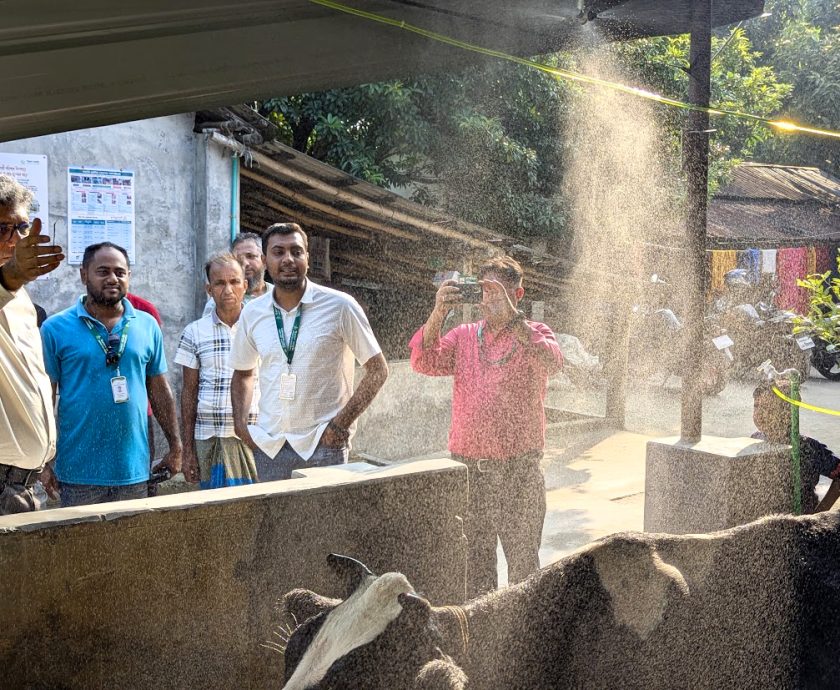 World Bank and PKSF representatives visit a SMART-supported dairy farm in Dumuria, Khulna, to observe climate-resilient technologies and resource-efficient farming practices.